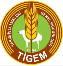 TİGEM